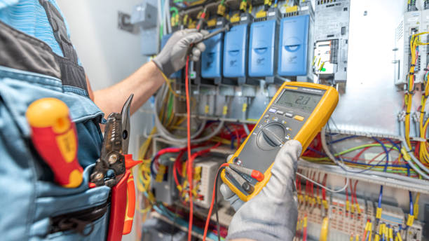 Best Electric Panel Repair  in Waterloo, WI